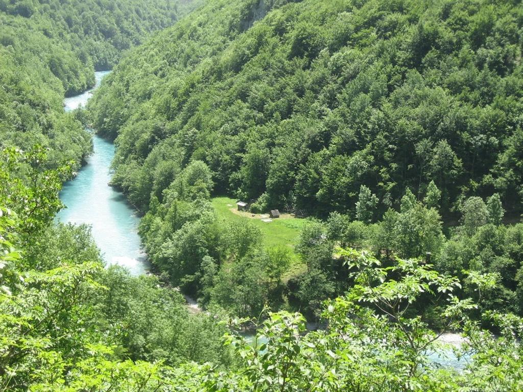 Отель Tara Bridge Castle Жабляк Номер фото